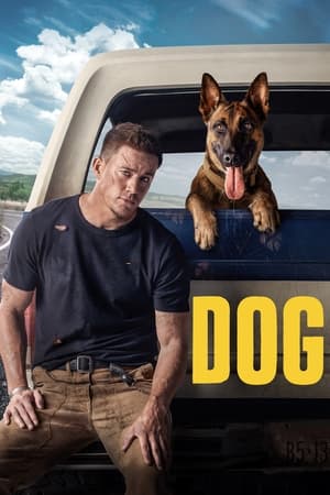 Dog (2022) Hindi Dual Audio HDRip 720p – 480p