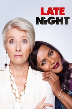 Late Night 2019 Hindi Dual Audio 480p Web-DL 300MB