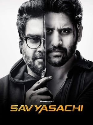 Savyasachi (2018) Hindi Dual Audio 480p UnCut HDRip 450MB